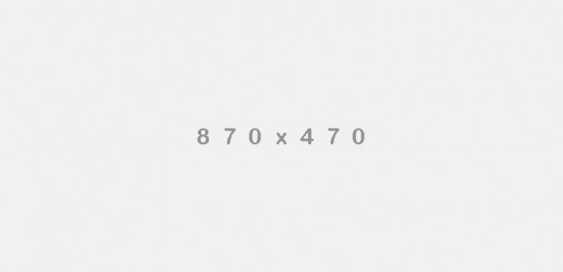 Phasellus faucibus orcice