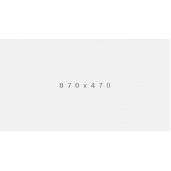 Aenean nulla lacinia 